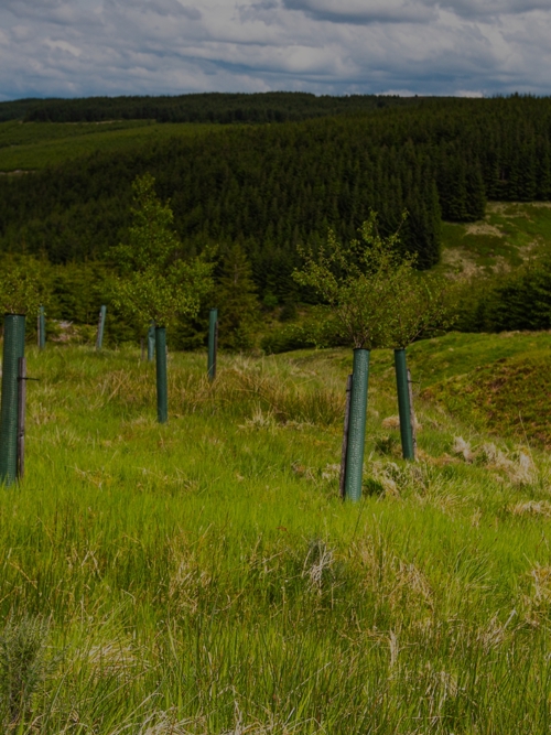 Tech for nature: the power of