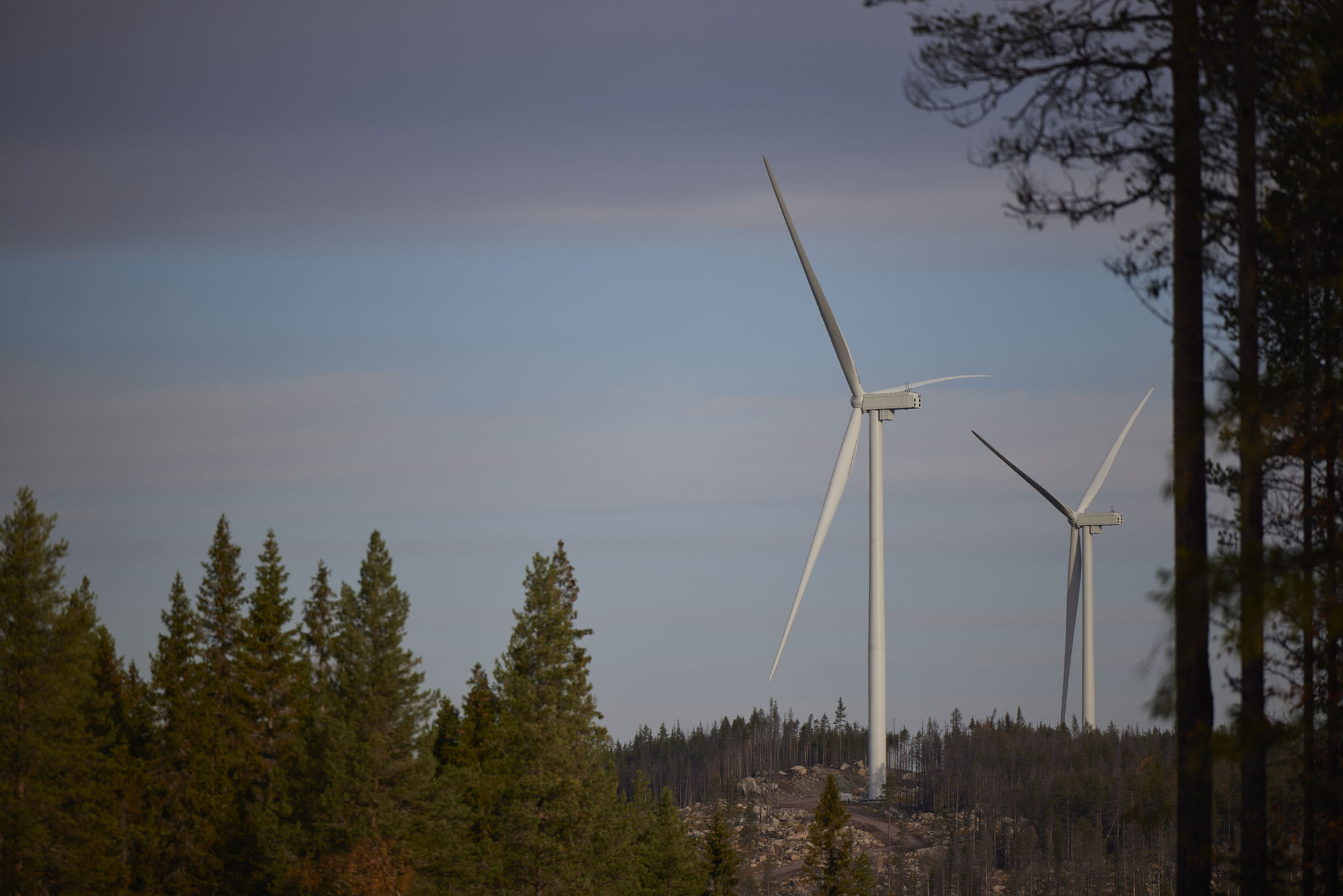 Wind turbines at sunset